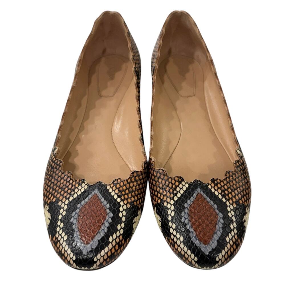 Chloe Snake-Print Leather Flats in Brown, Black & Cream